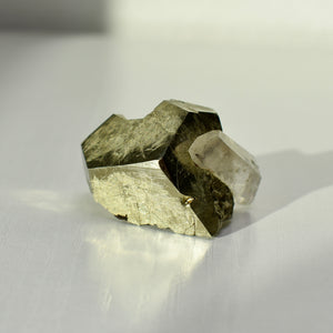 Pyrite with Quartz from Spruce Ridge, Washington