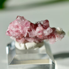 Load image into Gallery viewer, Tourmaline var. Rubellite
