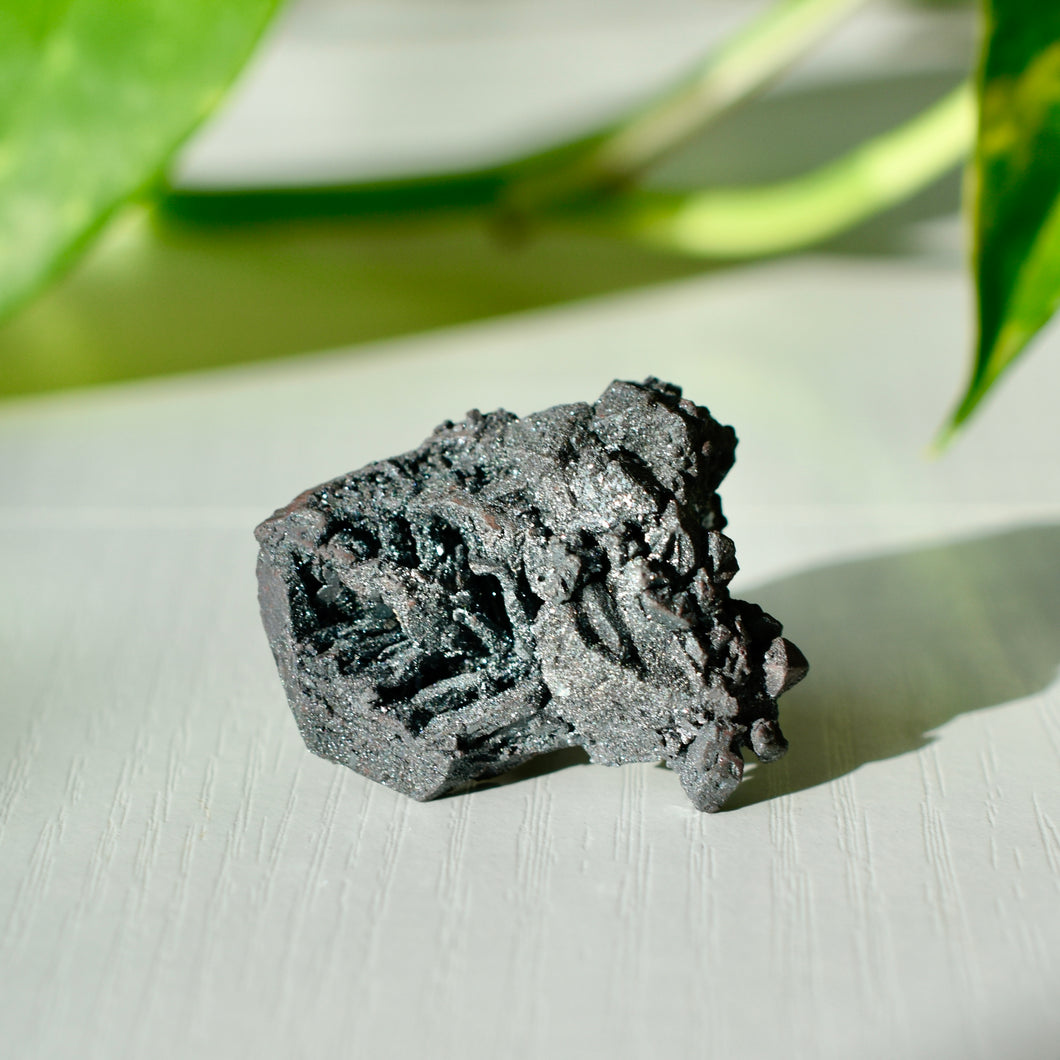 Live Sale: rootedinstone