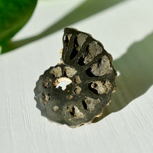 Load image into Gallery viewer, Pyritized Ammonite
