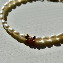 Load image into Gallery viewer, Freshwater Pearl x Gold Fill Bracelet

