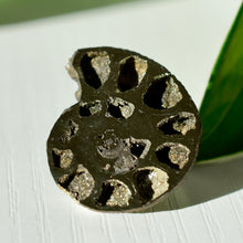 Load image into Gallery viewer, Pyritized Ammonite

