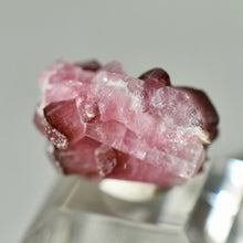 Load image into Gallery viewer, Tourmaline var. Rubellite
