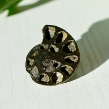 Load image into Gallery viewer, Pyritized Ammonite
