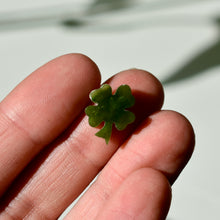 Load image into Gallery viewer, Canadian Nephrite Jade Four Leaf Clover or Lucky Charm
