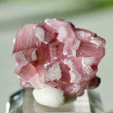Load image into Gallery viewer, Tourmaline var. Rubellite
