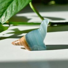 Load image into Gallery viewer, Blue Onyx Brachiosaurus
