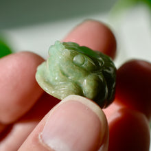 Load image into Gallery viewer, Burmese Nephrite Jade Jin Chan (Money Toad)
