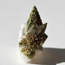 Load image into Gallery viewer, Chalcopyrite on Calcite
