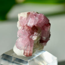Load image into Gallery viewer, Tourmaline var. Rubellite
