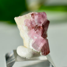 Load image into Gallery viewer, Tourmaline var. Rubellite
