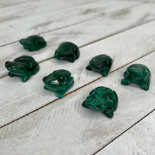Load image into Gallery viewer, Malachite Frog

