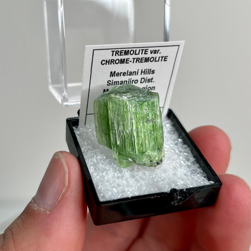 Chrome-Tremolite