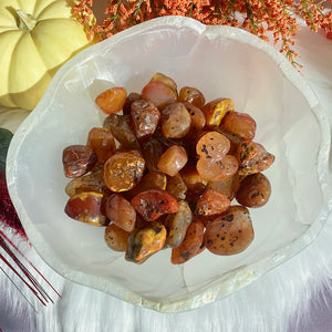 Raw Carnelian Tumbles