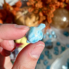 Load image into Gallery viewer, Larimar Turtle
