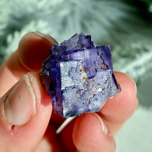 Illinois Purple Fluorite