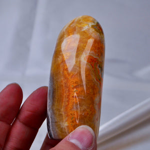 Bumblebee Jasper Freeform