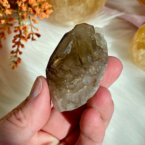 Elestial Smoky Quartz