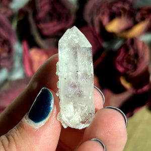 Goboboseb Amethyst with Prehnite and Analcime