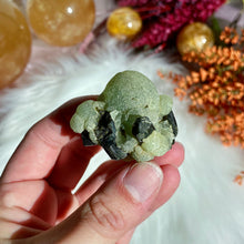 Load image into Gallery viewer, Prehnite with Epidote
