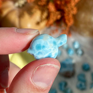 Larimar Turtle