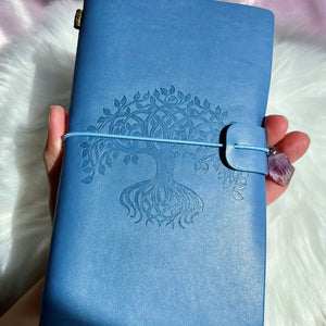 Blue Leather Notebooks