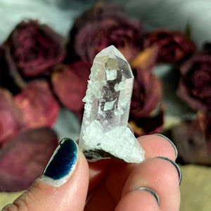 Goboboseb Amethyst with Prehnite