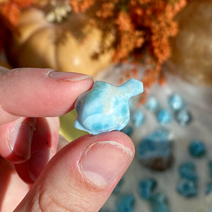 Larimar Turtle