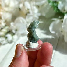 Load image into Gallery viewer, Fluorapophyllite coated Prehnite
