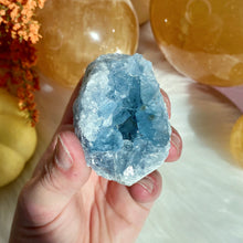 Load image into Gallery viewer, Celestite Geode
