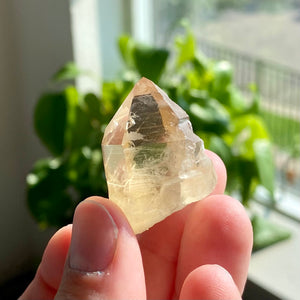 Hallelujah Junction Citrine